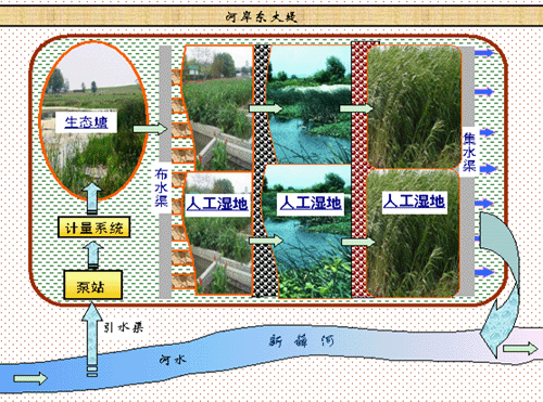 [圖]新薛河人工濕地示范工程