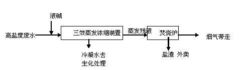 濰坊先達化工有限公司年產2000t滅草松、50t吡草醚及制劑車間項目環境影響評價第二次公示