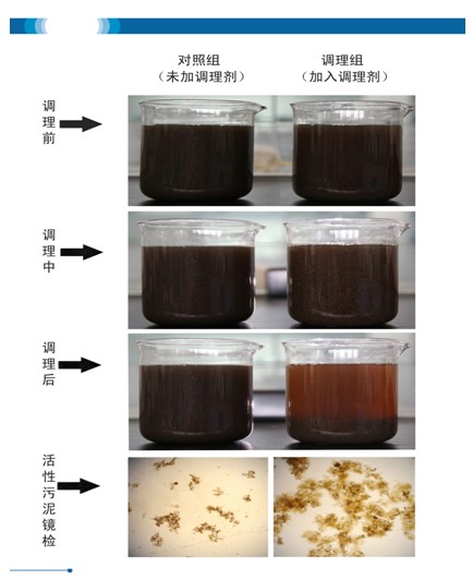 我院重點實驗室研發(fā)出活性污泥調(diào)理劑